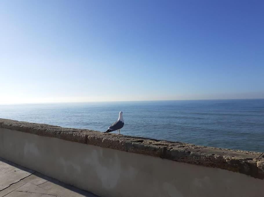 Mar Y Sol Lejlighed Cádiz Eksteriør billede